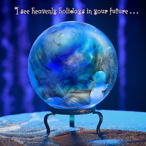 Heavenly Fortune by Judy Kennedy Heavenly Fortune by Judy Kennedy
